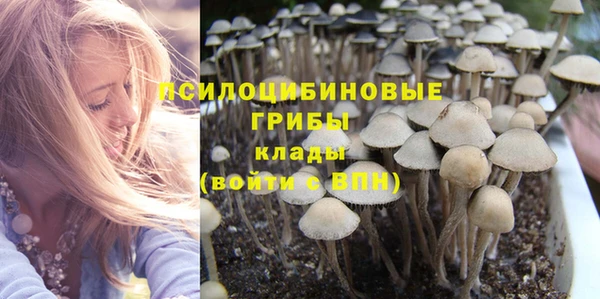 герыч Няндома