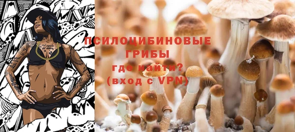 герыч Няндома