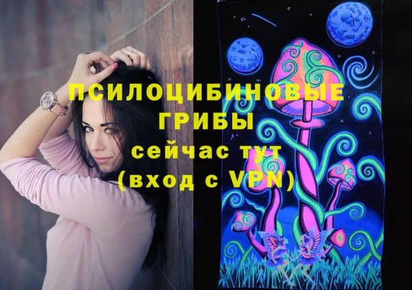 мдпв Новокубанск