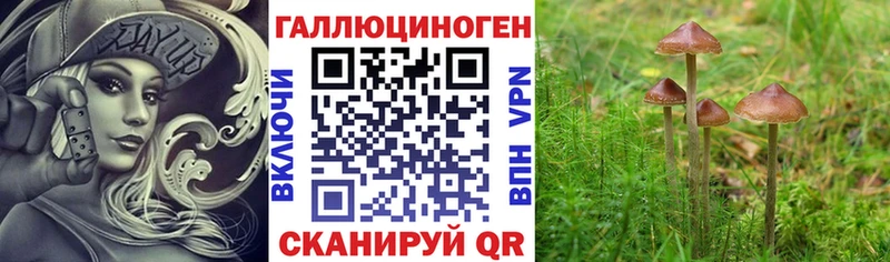 где купить наркотик  Фёдоровский  Псилоцибиновые грибы Psilocybe 