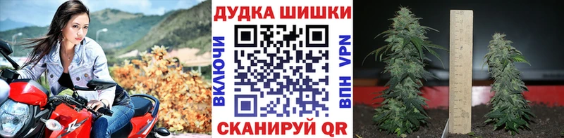 дарнет шоп  Фёдоровский  Марихуана OG Kush 